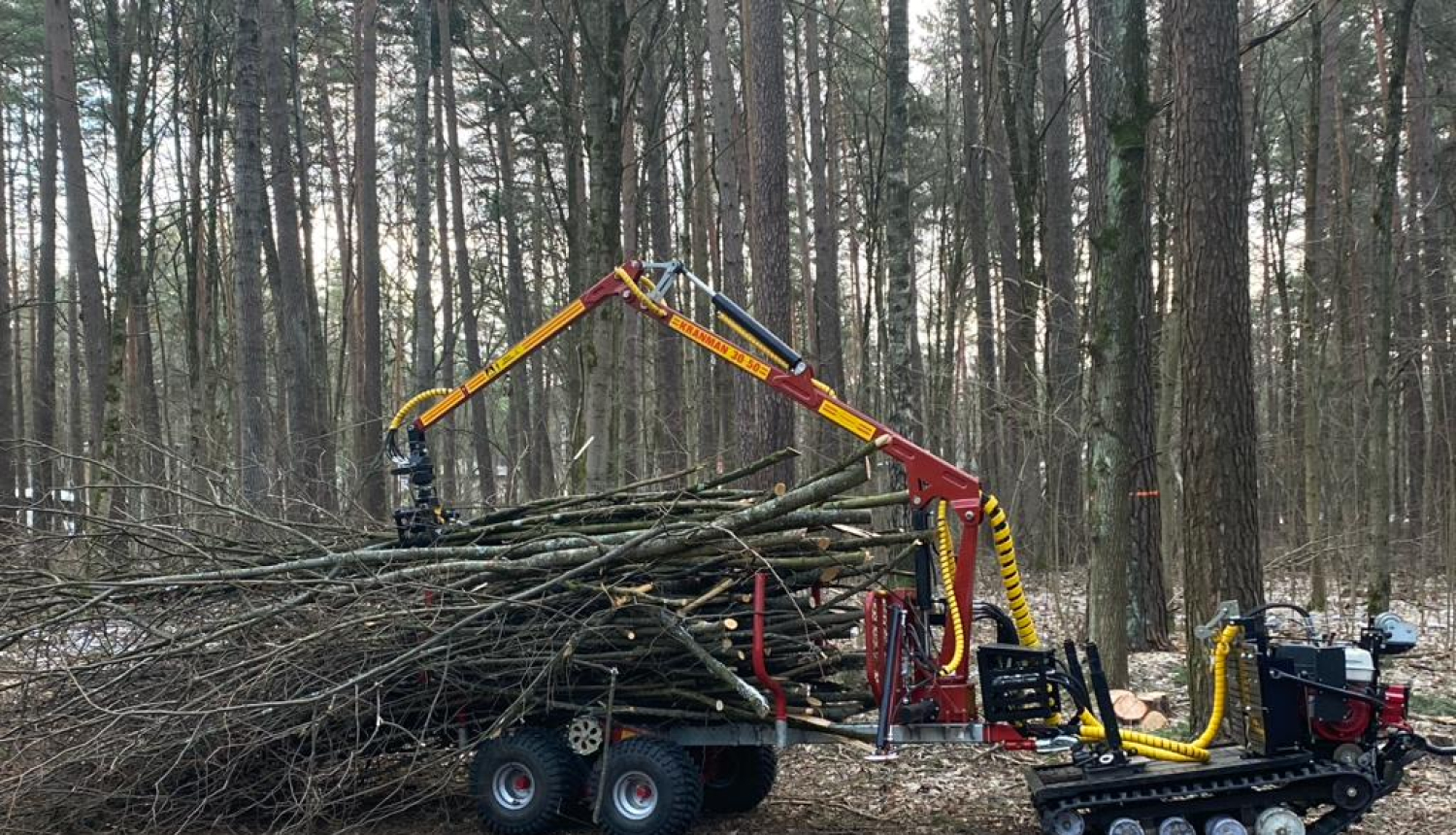 Piekabē krāmē kokus