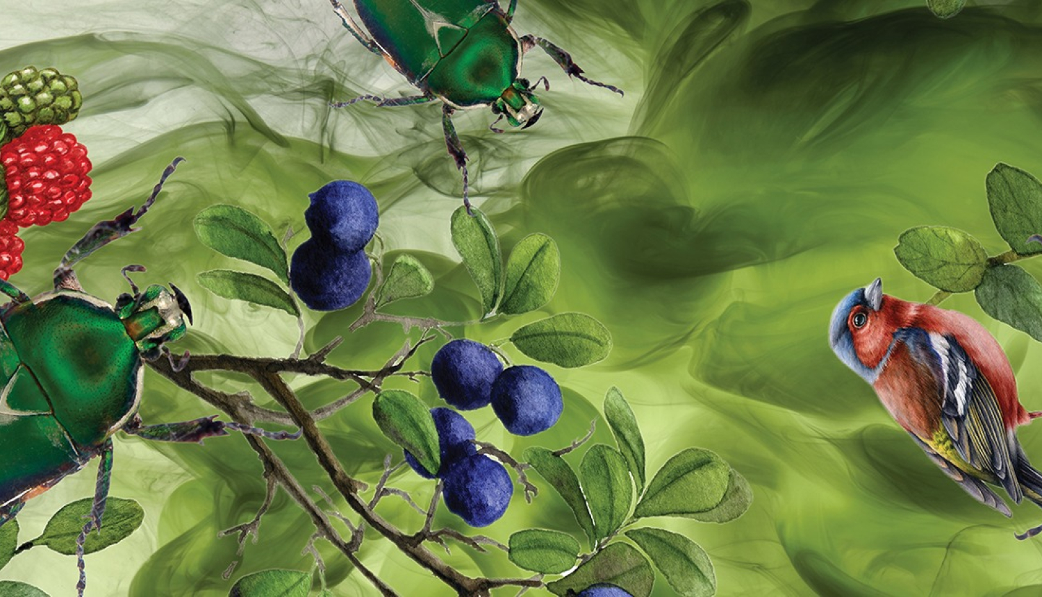 Zaļas vaboles un sarkankrūtītis