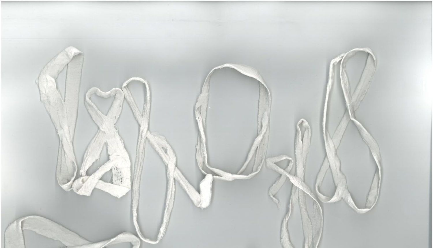 Elīzas Sīles izstāde