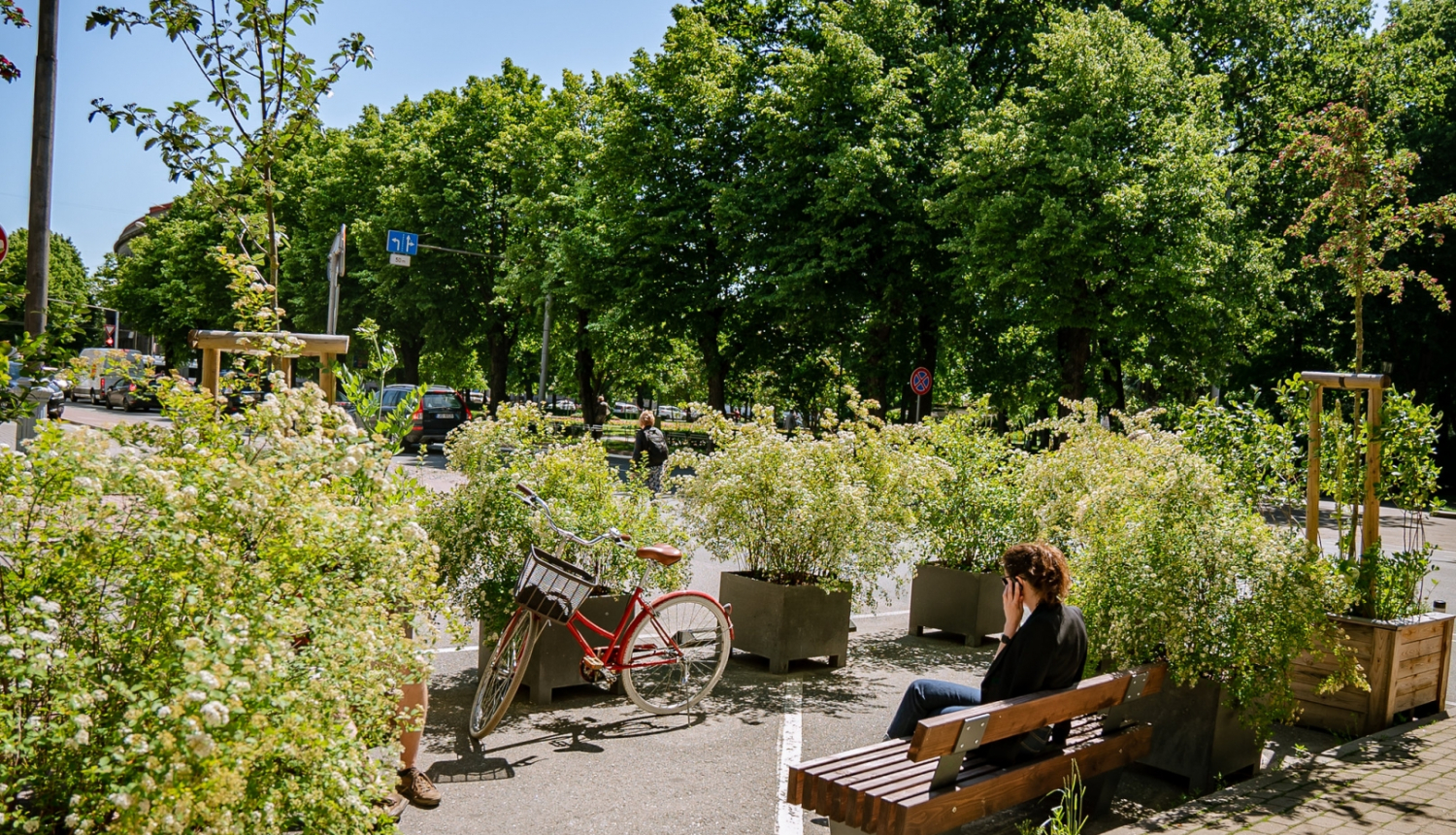 Ziedu stādi un soliņš