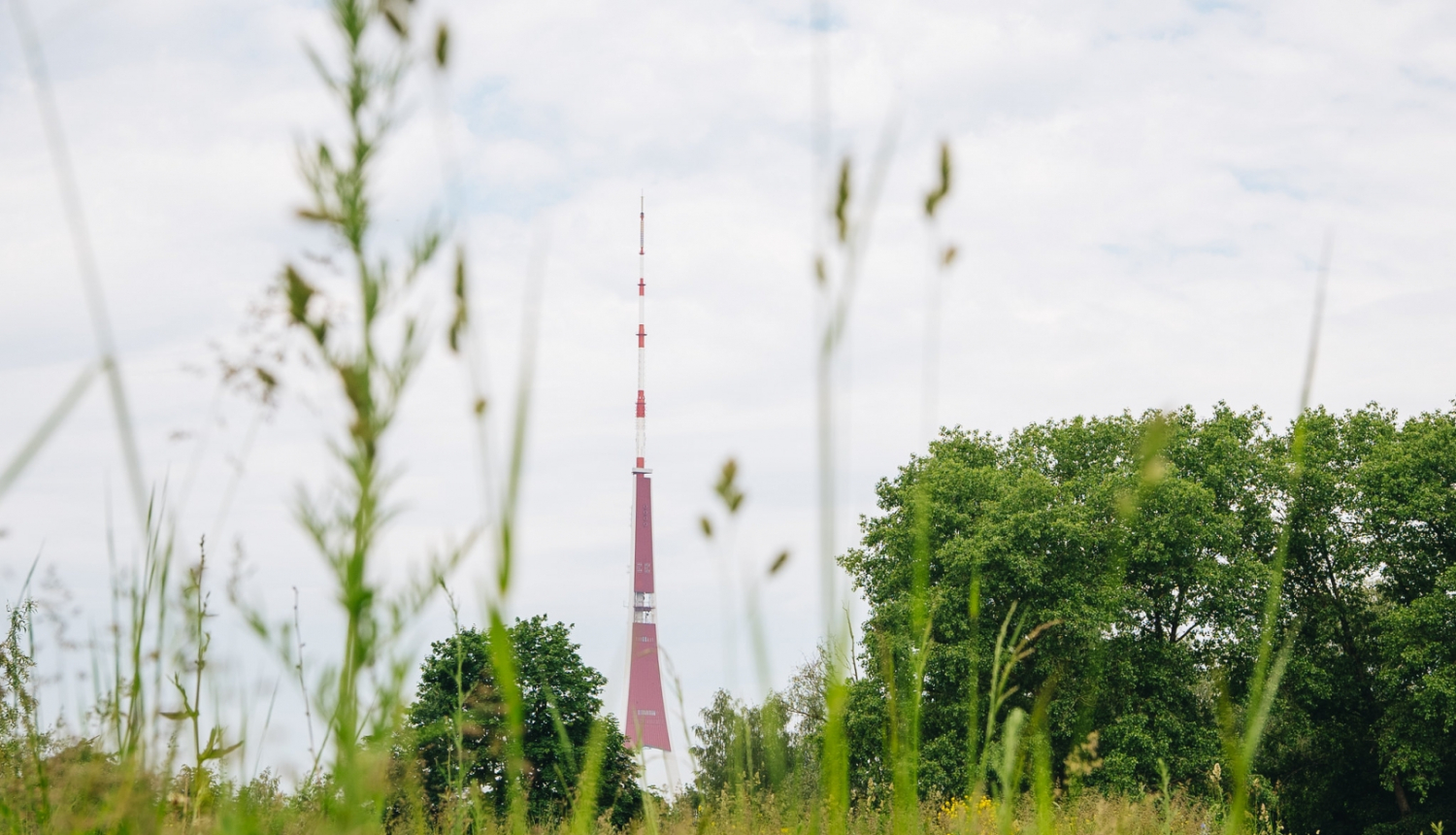 Pļava un televīzijas tornis