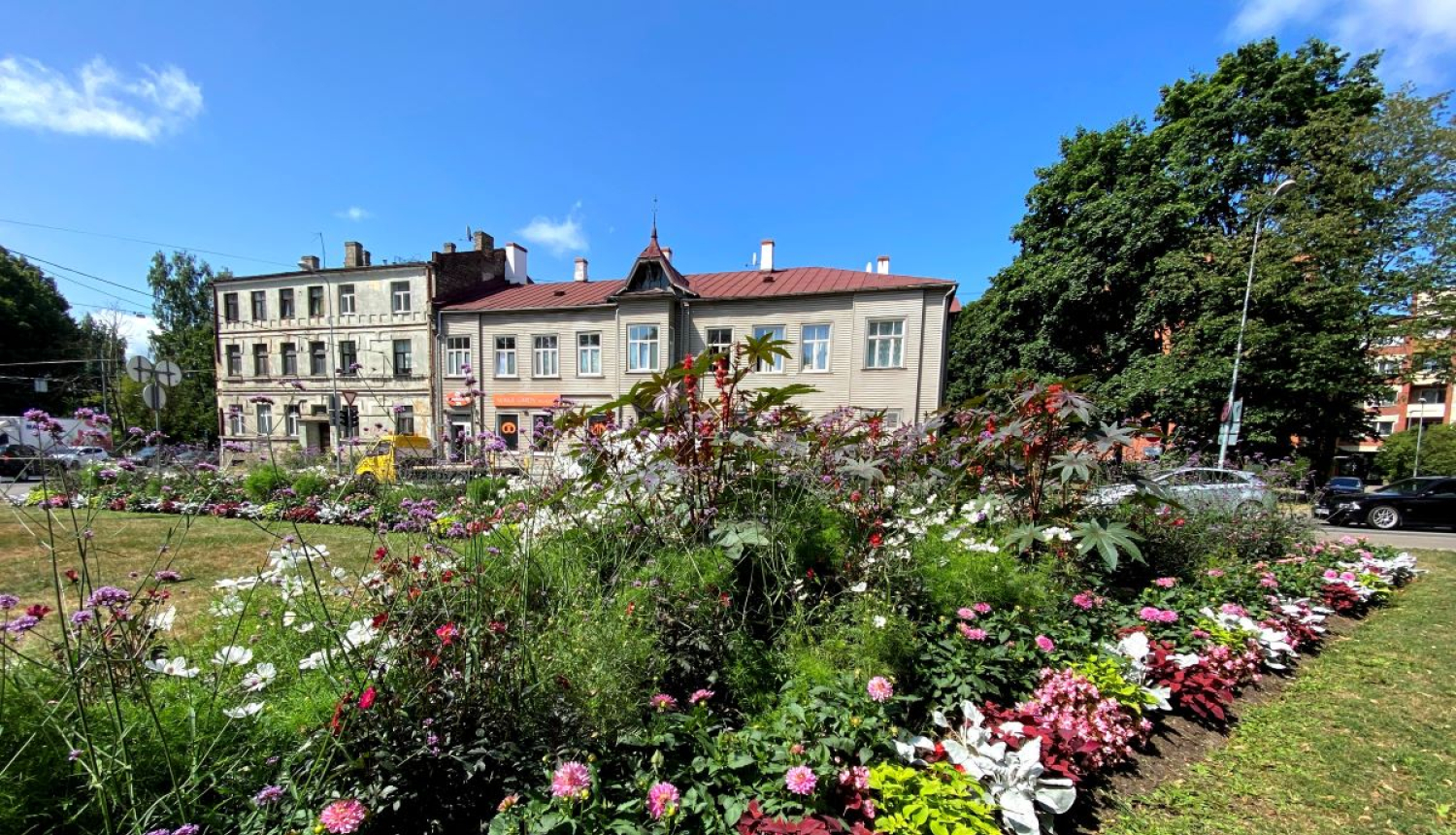 Puķu dobe Kuldīgas ielā