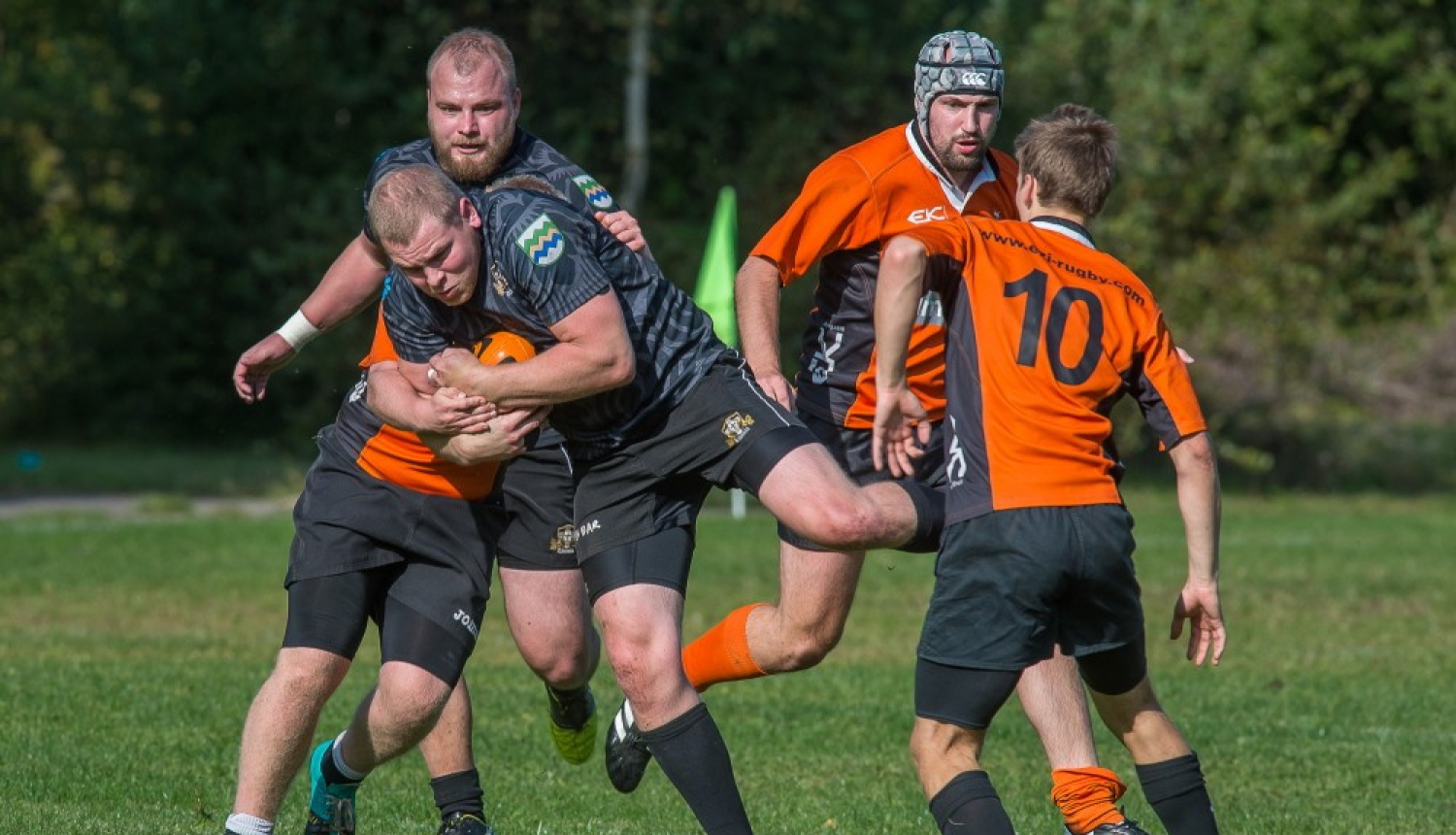 Regbija spēlētāji