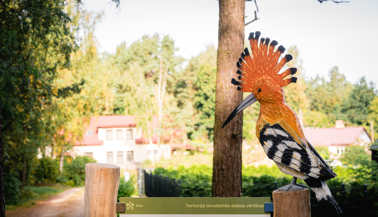 Pupuķa koka figūra