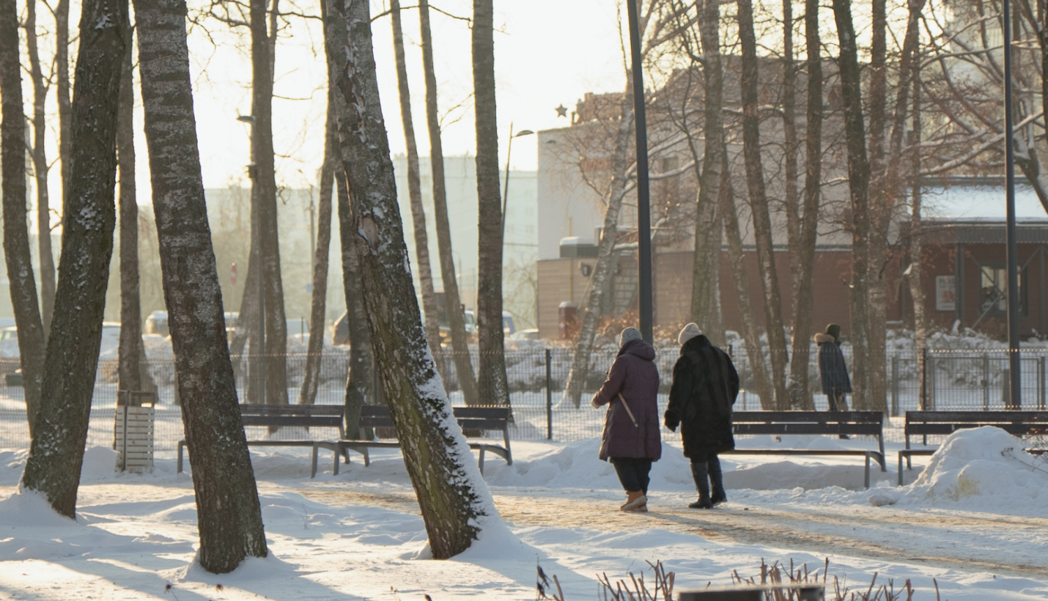 Sievites pastaigājas parkā ziemā