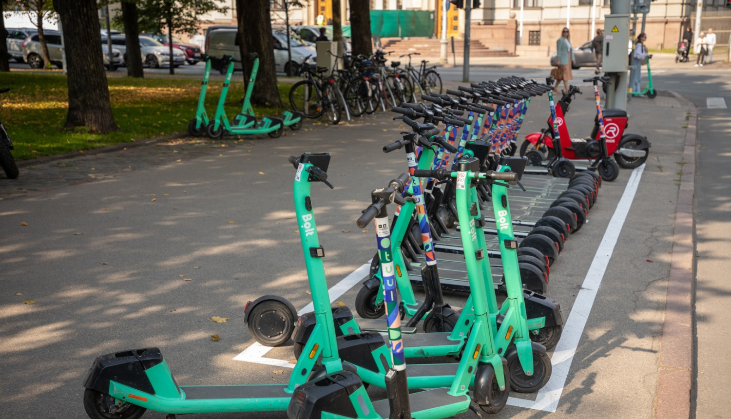 Skrejriteņi novietoti rindā