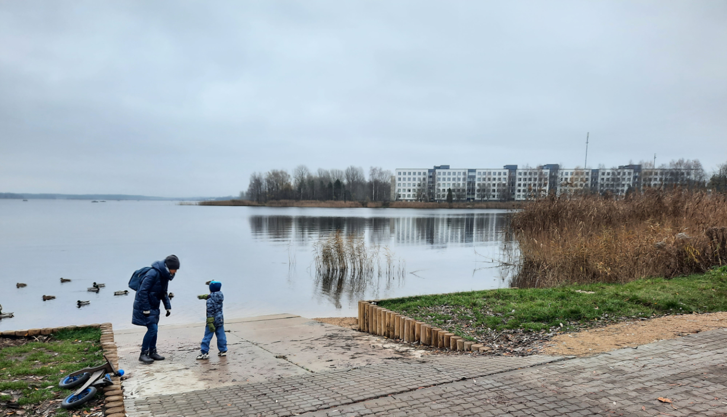 Laivu ielaišanas vieta