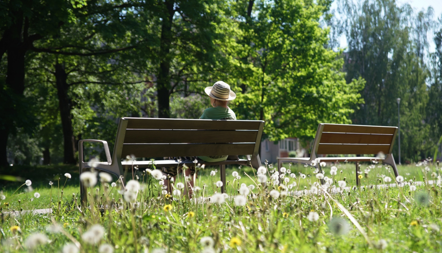 Soliņi Duntes ielā