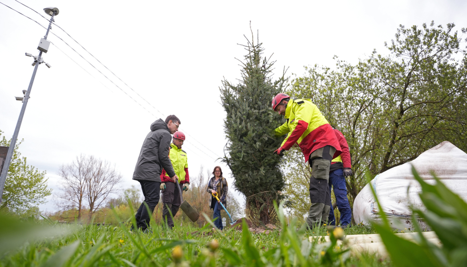 Stāda egli apkaimē