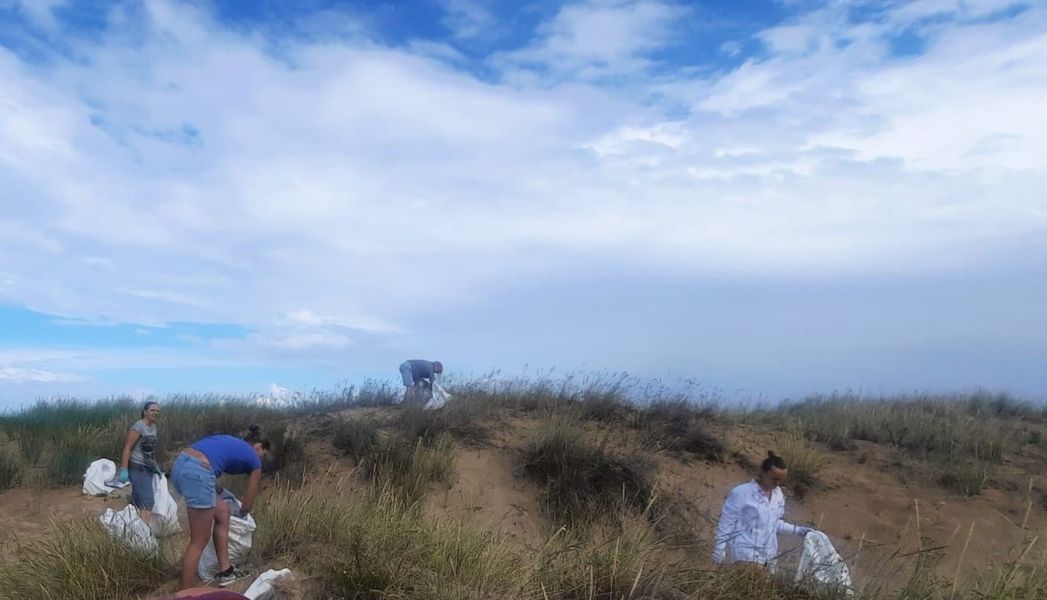 Cilvēki talkā lasa Tatārijas salātu