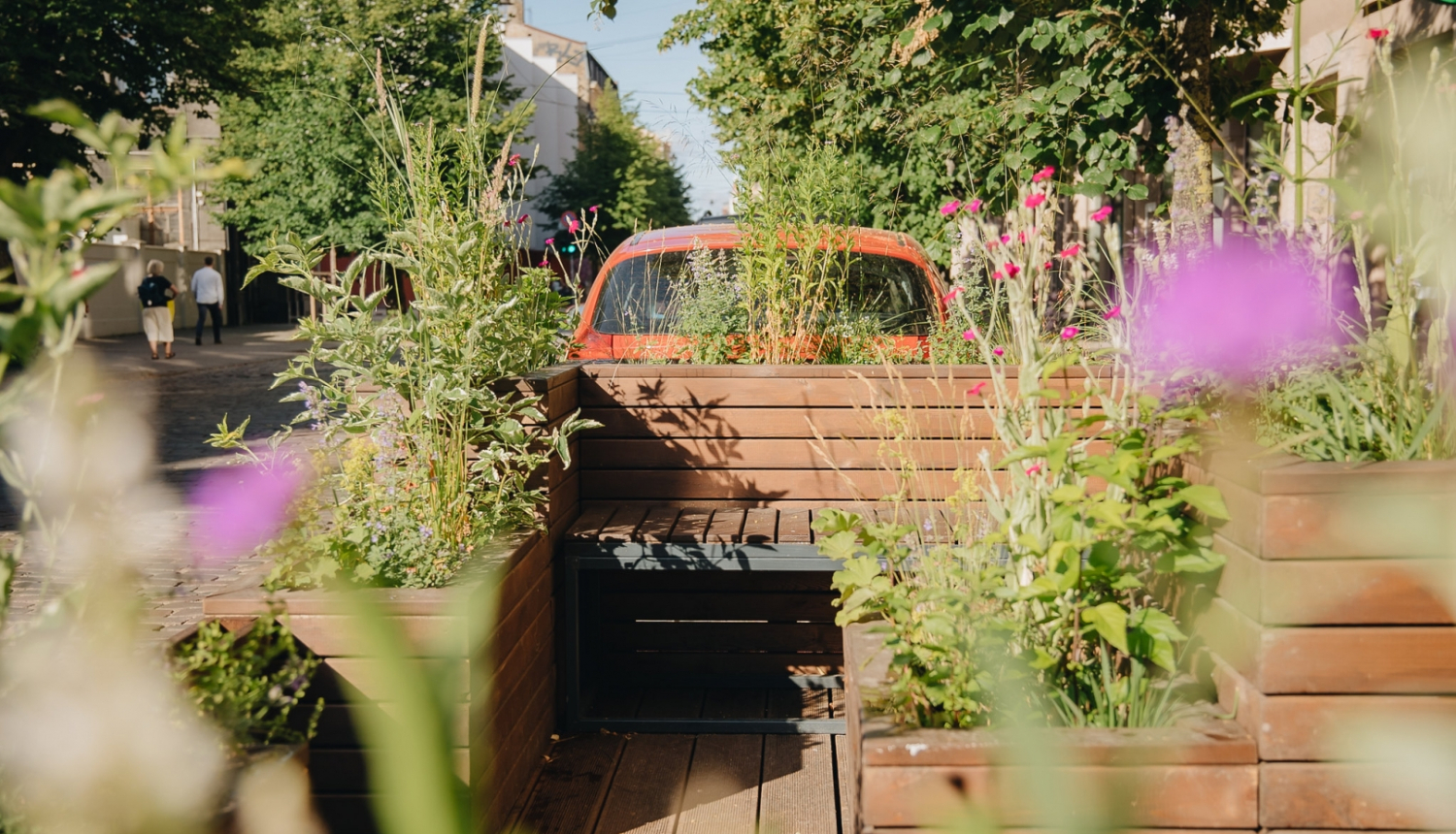 Tērbatas ielas apstādījumi