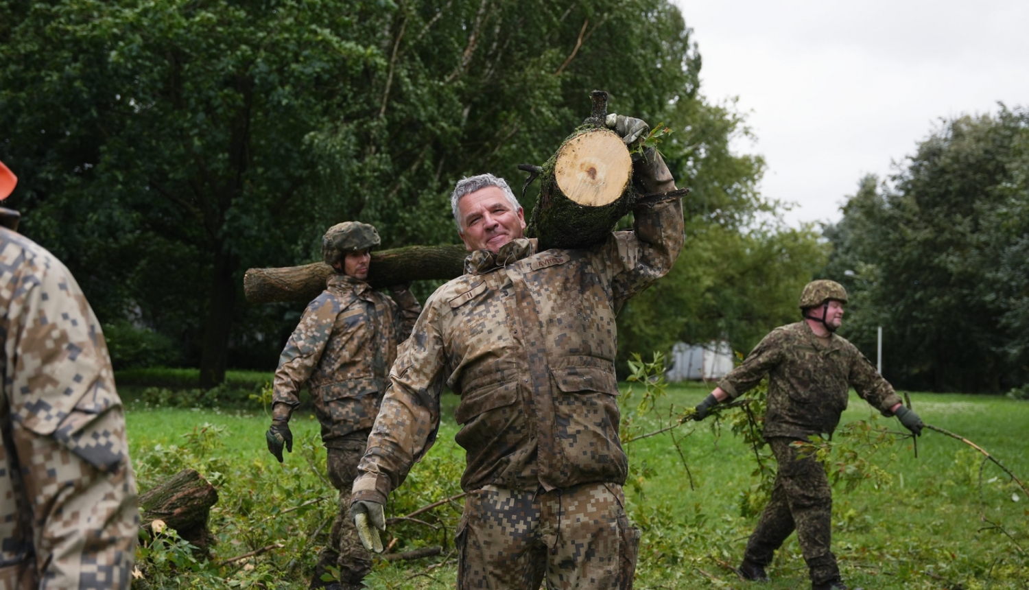 Nes sazāģētu koku