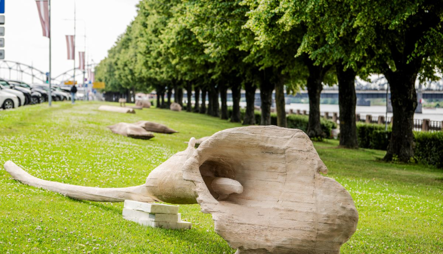 Vides objekti krastmalā