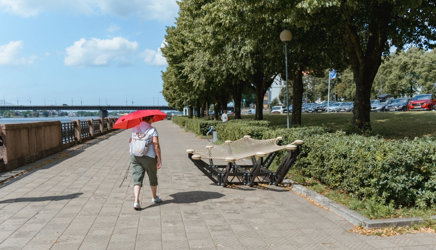 Vides objekts “Laika upes liecinieki” 11.novembra krastmalā