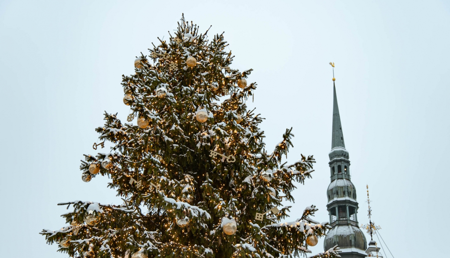 Ziemassvētku egle Rātslaukumā