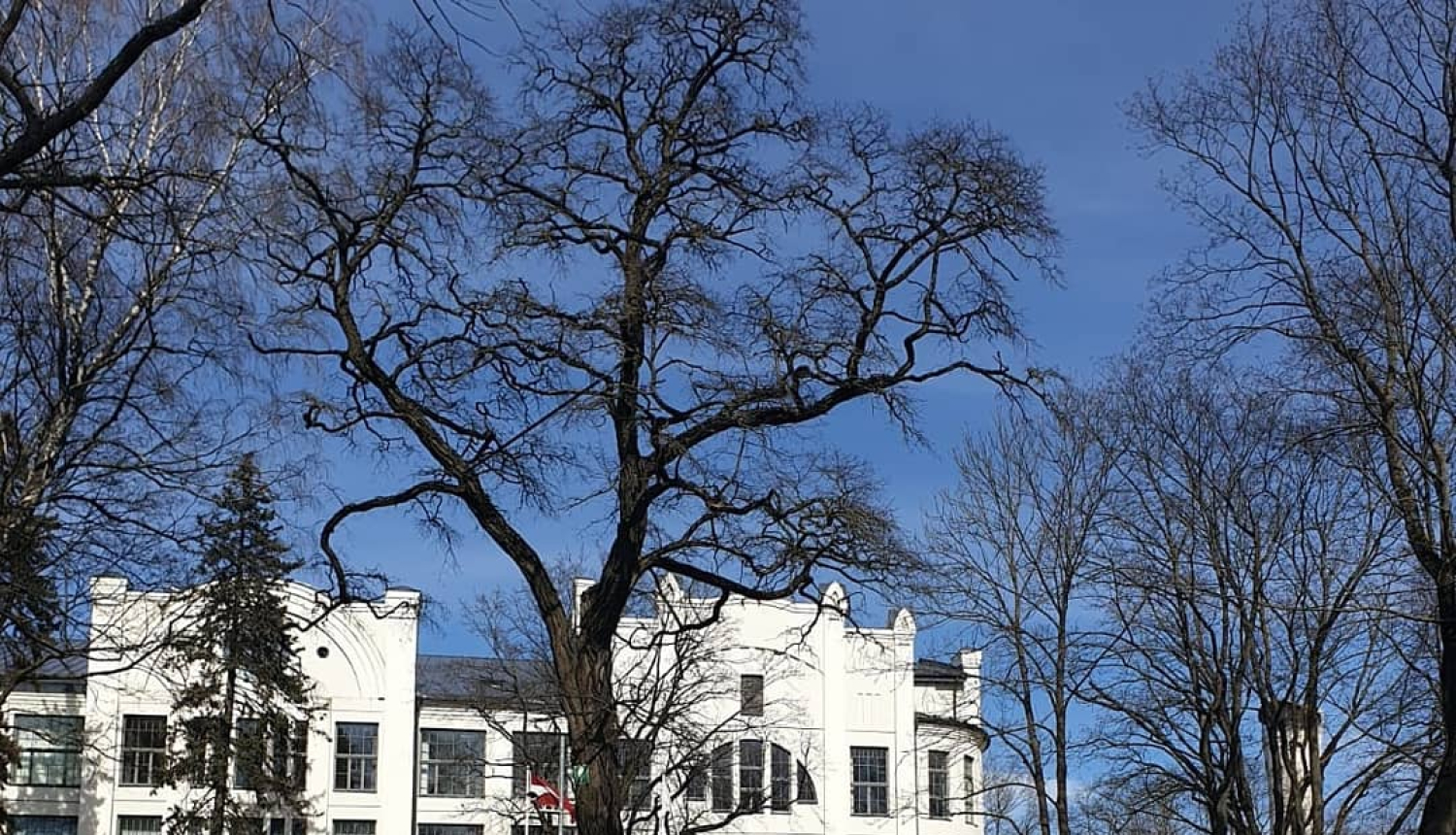 Kultūras pils "Ziemeļblāzma"