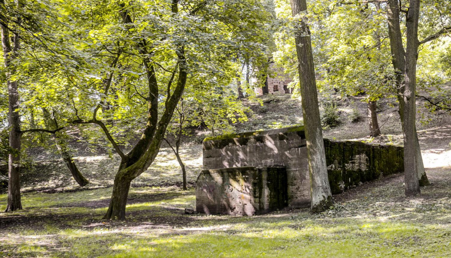 Aldara parks