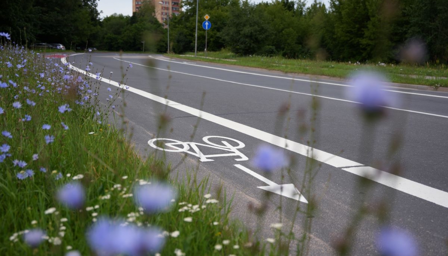 Velo josla Ezermalas ielā