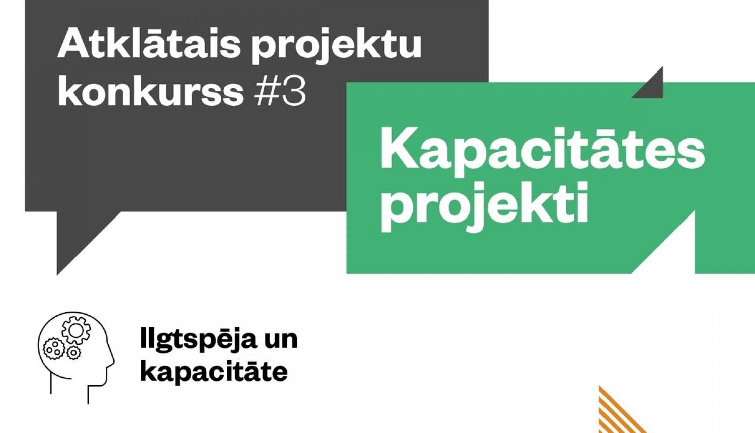 Projektu pieteikumi organizācijas kapacitātes stiprināšanai