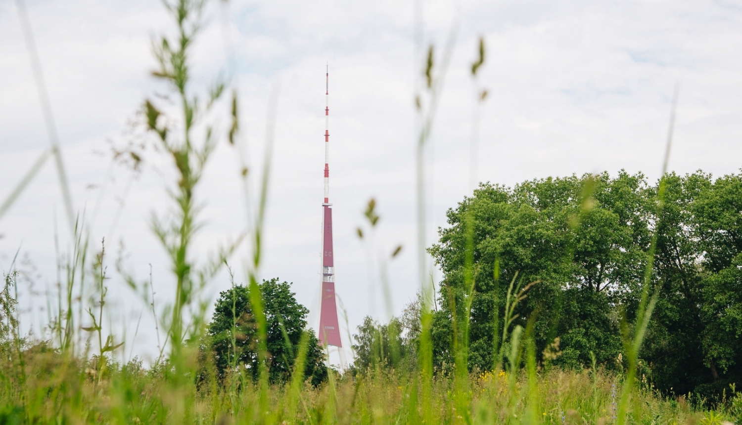 Pļava un televīzijas tornis