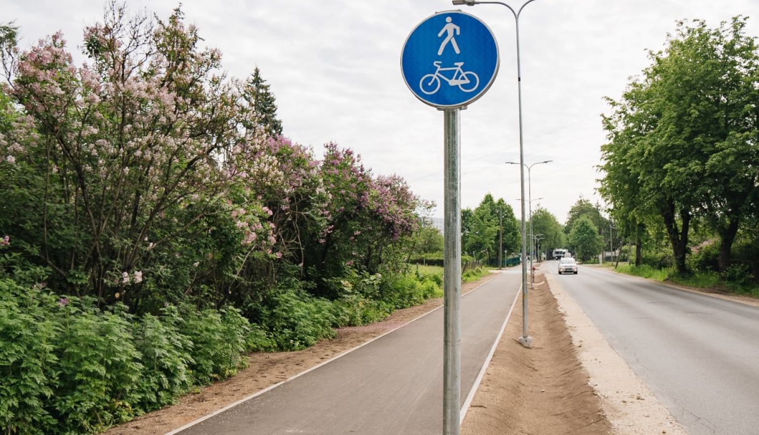 Veloceliņš Kurzemes prospektā